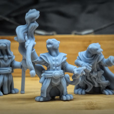Picture of print of Otter spellcasters (pre supported)