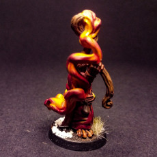 Picture of print of Otter spellcasters (pre supported) This print has been uploaded by Bies Entertainment