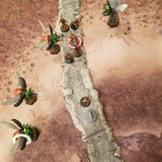 Picture of print of Bullywug Beetle Riders Pack