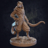 Taja Tabaxi Ranger and Macha Pack- Presupported image