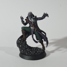 Picture of print of Drow Arachnomancer - Expedition to the Underworld - Loot Studios