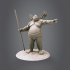 Sumo Chief image