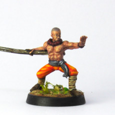 Picture of print of Monk with battle staff