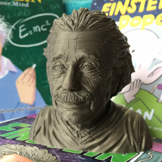 Picture of print of Albert Einstein Support Free
