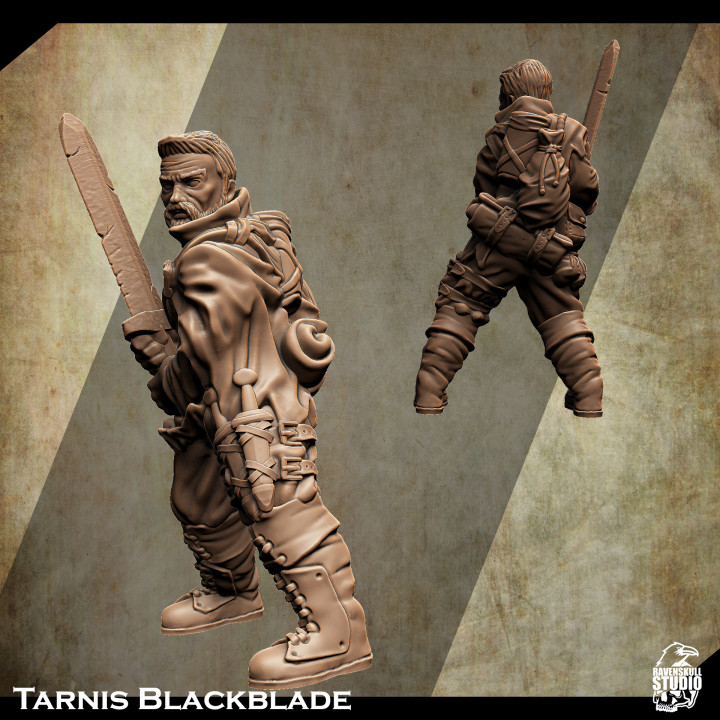 $3.99Support Free Warrior Miniature Tarnis Blackblade