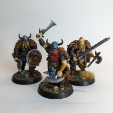 Picture of print of Barbarian Olaf, Eric and Bjorn Modular Heroes