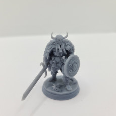 Picture of print of Barbarian Furiana, Gyratos and Tahnar Modular Heroes