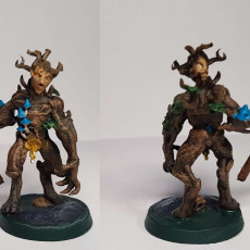 Picture of print of Forest Army Pack