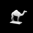 Camel :: Decoration image