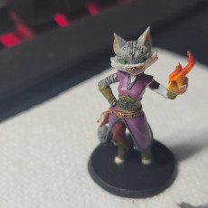 Picture of print of Sorceress Cat