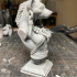Meirsoa Gnoll Matriarch bust pre-supported print image