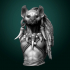 Meirsoa Gnoll Matriarch bust pre-supported image