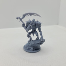 Picture of print of Mezg Gnoll Commander 32mm and 75mm pre-supported This print has been uploaded by Taylor Tarzwell