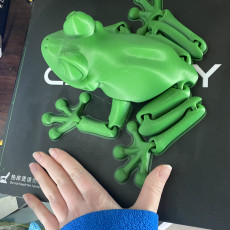 Picture of print of Cute Flexi Print-in-Place Frog This print has been uploaded by Tori Beckett