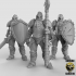 Warforged Fighters 3 (multi weapon options) (Pre Supported) image