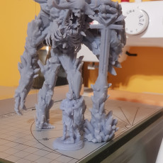 Picture of print of Frost Demon