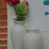 conjoined vase1 image