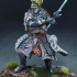 DISCONTINUED - Duncan of Craighan - Highlands Miniatures print image