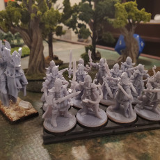 Picture of print of Elven Wild Guard Miniatures (modular)