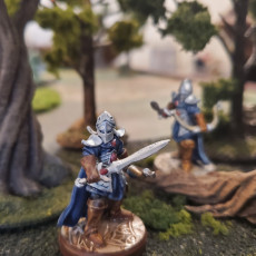 Picture of print of Elven Wild Guard Miniatures (modular)