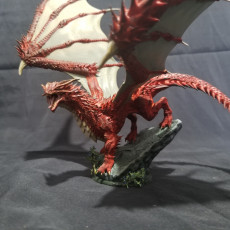 Picture of print of Young Red Dragon