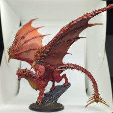 Picture of print of Young Red Dragon
