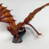 Young Red Dragon print image