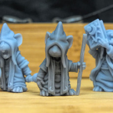 Picture of print of Mousle Cultist command (pre supports)