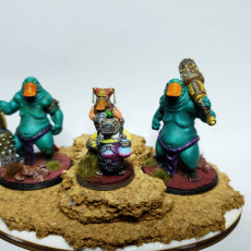 Picture of print of Esmar, Boondaburra Platypus Diplomat with Guards (Pre-Supported)