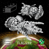 FLAGSHIP for Plants Race image