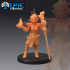 Elf Player Character Set / Forest Encounter Collection / Pre-Supported image