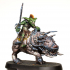 Myneer Augolf da Tredzle-Mounted on Grackus - Goblins da Tredzle image
