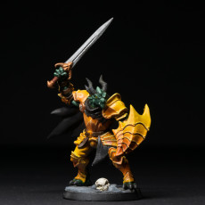 Picture of print of The Dragonguard - Modular A