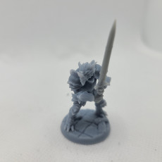 Picture of print of The Dragonguard - Modular B