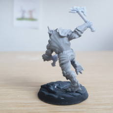 Picture of print of The Dragonguard - Modular C