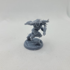 Picture of print of The Dragonguard - Modular C
