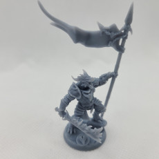 Picture of print of The Dragonguard - Modular D