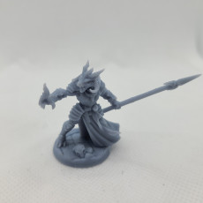 Picture of print of The Dragonguard - Modular E (lady)