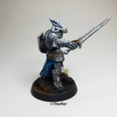 Picture of print of The Dragonguard - Modular E (lady)
