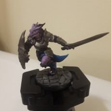 Picture of print of The Dragonguard - Modular F (lady)