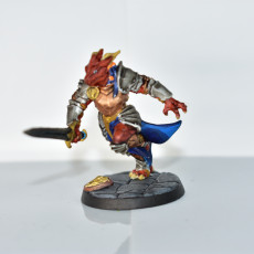 Picture of print of The Dragonguard - Modular F (lady)