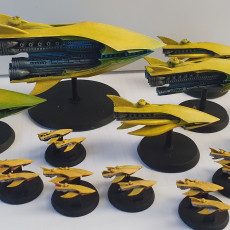 Picture of print of Nomads-Type Fleet