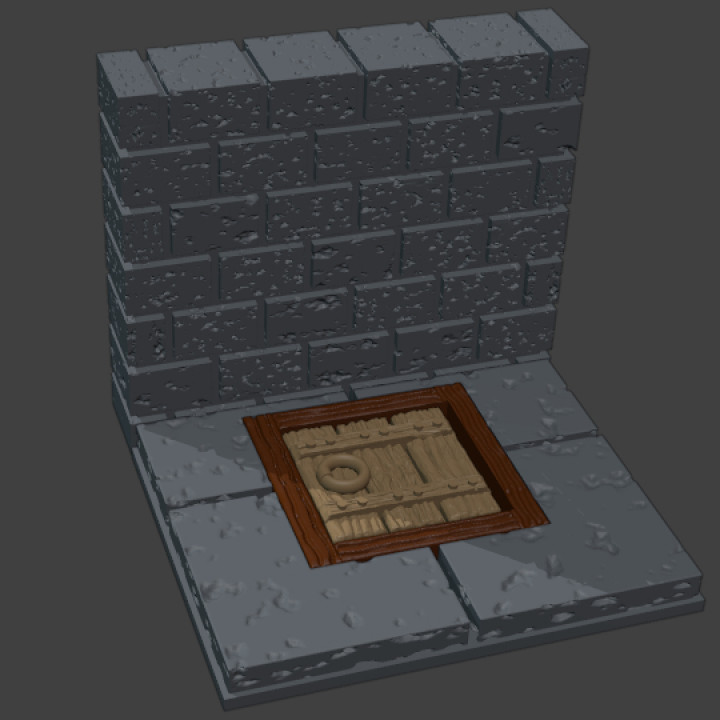 Cut-Stone Trap Door Floors