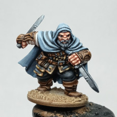 Picture of print of Orwin - Dwarf assassin - 32mm - DnD