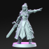 Fate - Female knight - 32mm - DnD image
