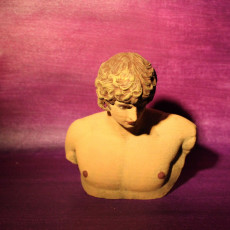 Picture of print of Portrait of Antinous