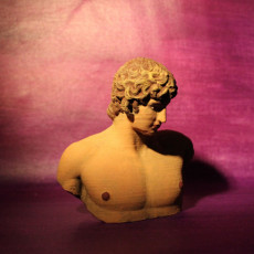 Picture of print of Portrait of Antinous