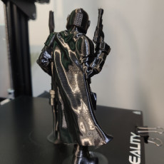 Picture of print of The Mandalorian Support Free Remix Pose 3/5