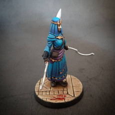 Picture of print of Azra Rogue Assassin - Presupported