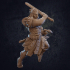 Rhom Gladiator Barbarian - Presupported image